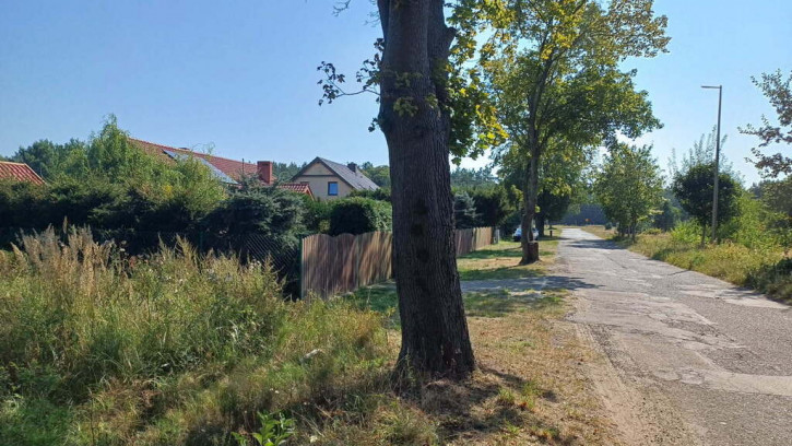 Działka Sprzedaż Krępsko 8