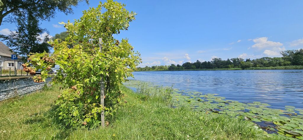 Działka Sprzedaż Siadło Dolne