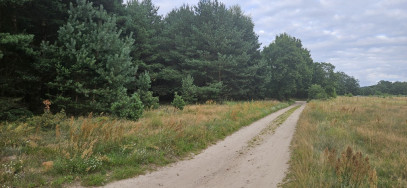 Działka Sprzedaż Chełpa