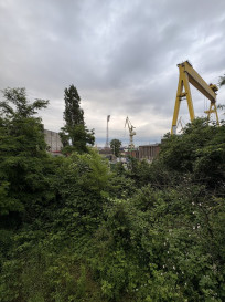 Mieszkanie Wynajem Szczecin Drzetowo